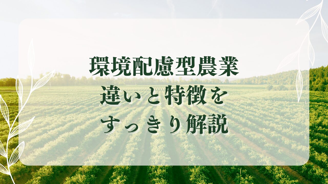 有機栽培・自然農法・ビオディナミとは？環境配慮型農業の違いと特徴