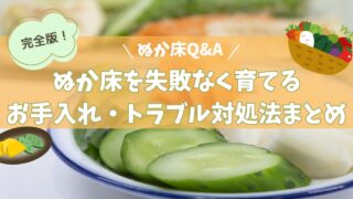 【完全版】ぬか床の育て方Q&A｜失敗しない保存・お手入れ・トラブル対処法まとめ